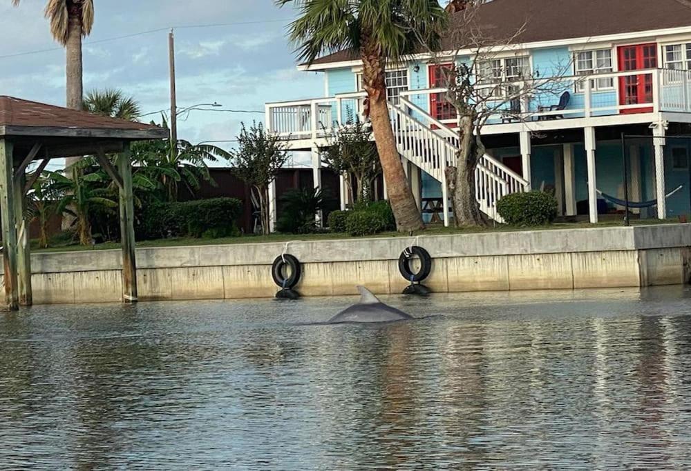 Paradise Lagoon*Bayhouse Fishing*Beach*Dogfriendly 加尔维斯敦 外观 照片